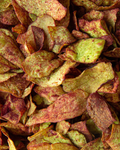 Chips de Pepino
